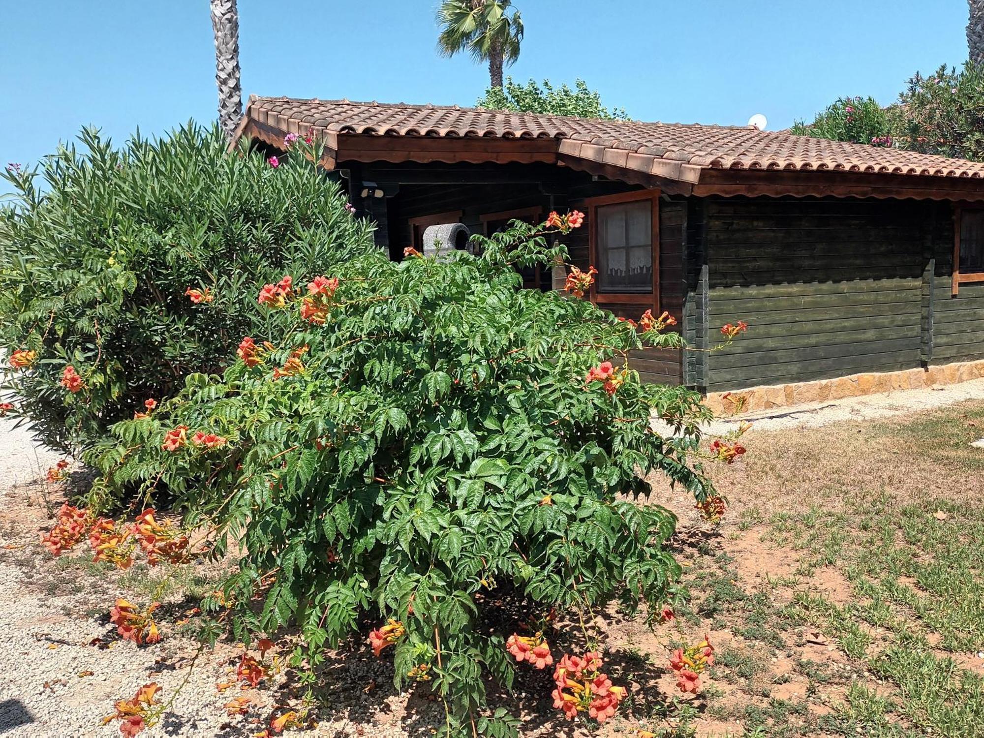 Entre Viejos Olivos Villa Benicolet Exterior foto