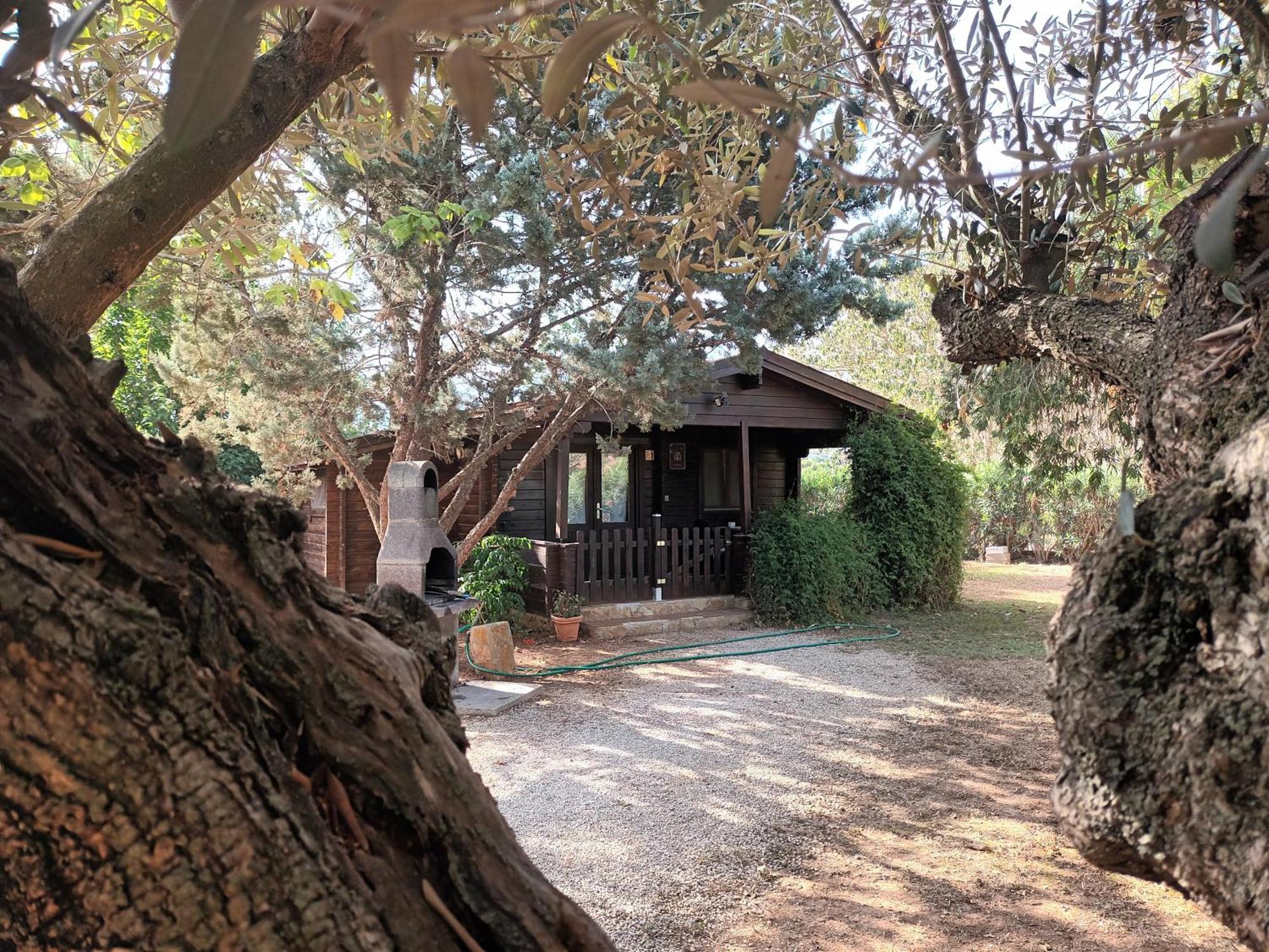 Entre Viejos Olivos Villa Benicolet Exterior foto